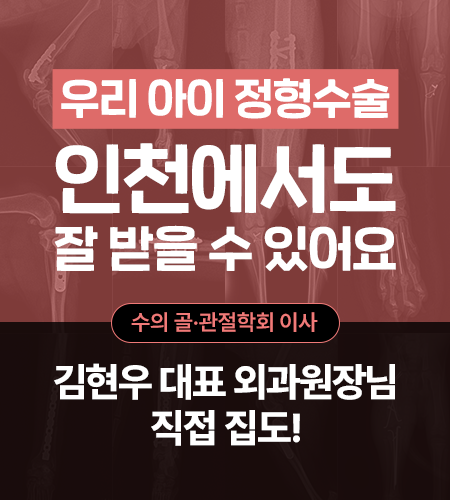 정형수술 김현우 원장님 직접 집도